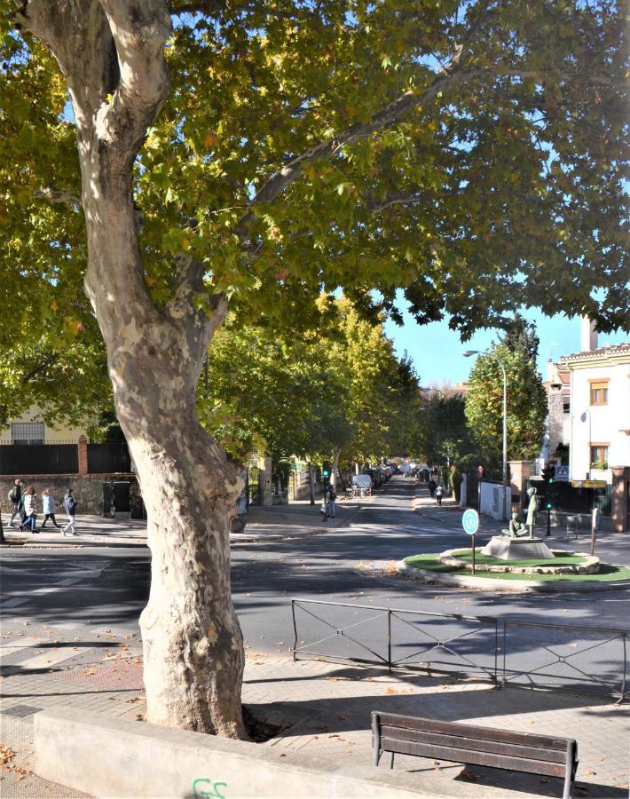 Carmela Suites Apartamento De Dos Dormitorios Granada Eksteriør billede